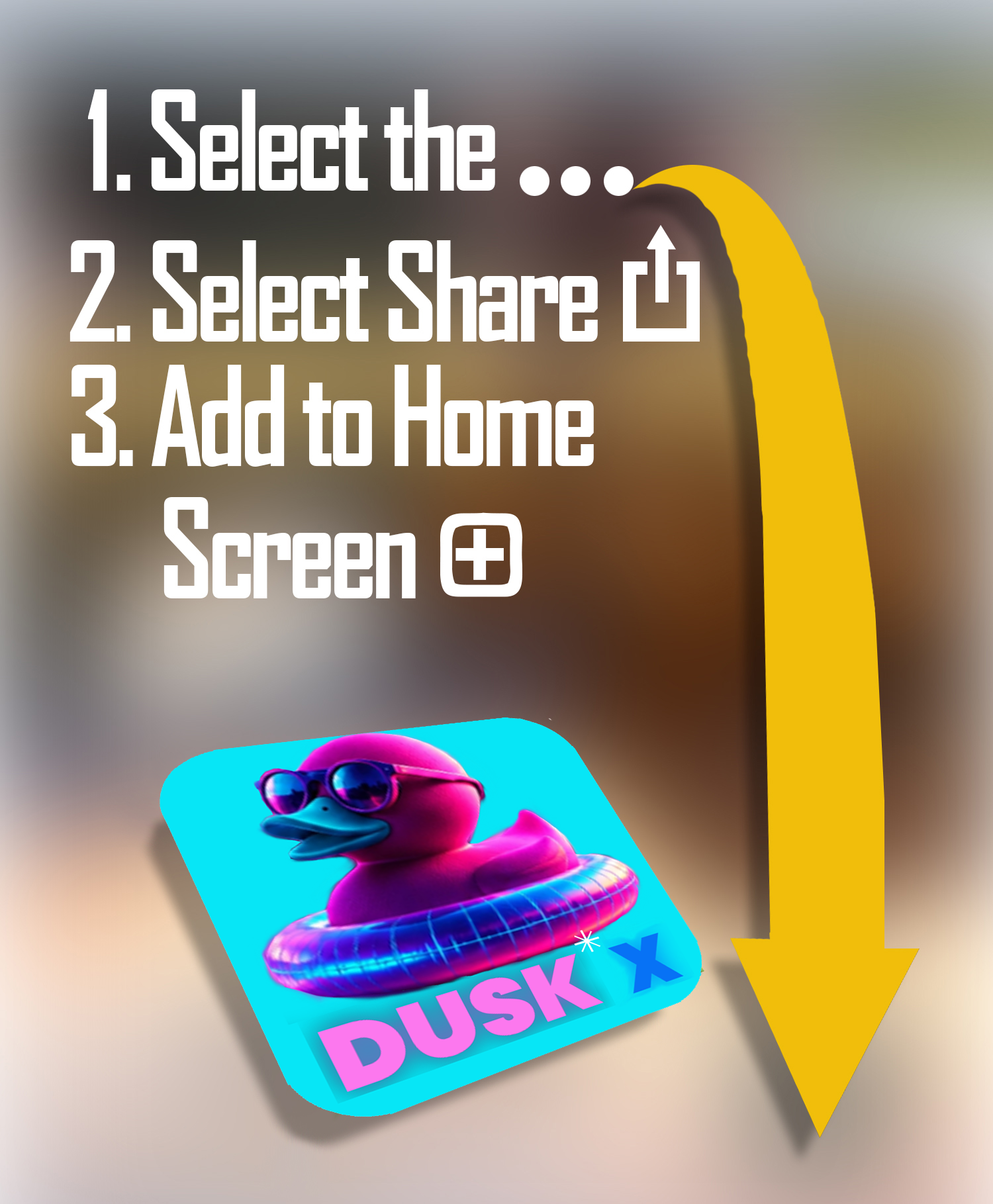 Install Instructions